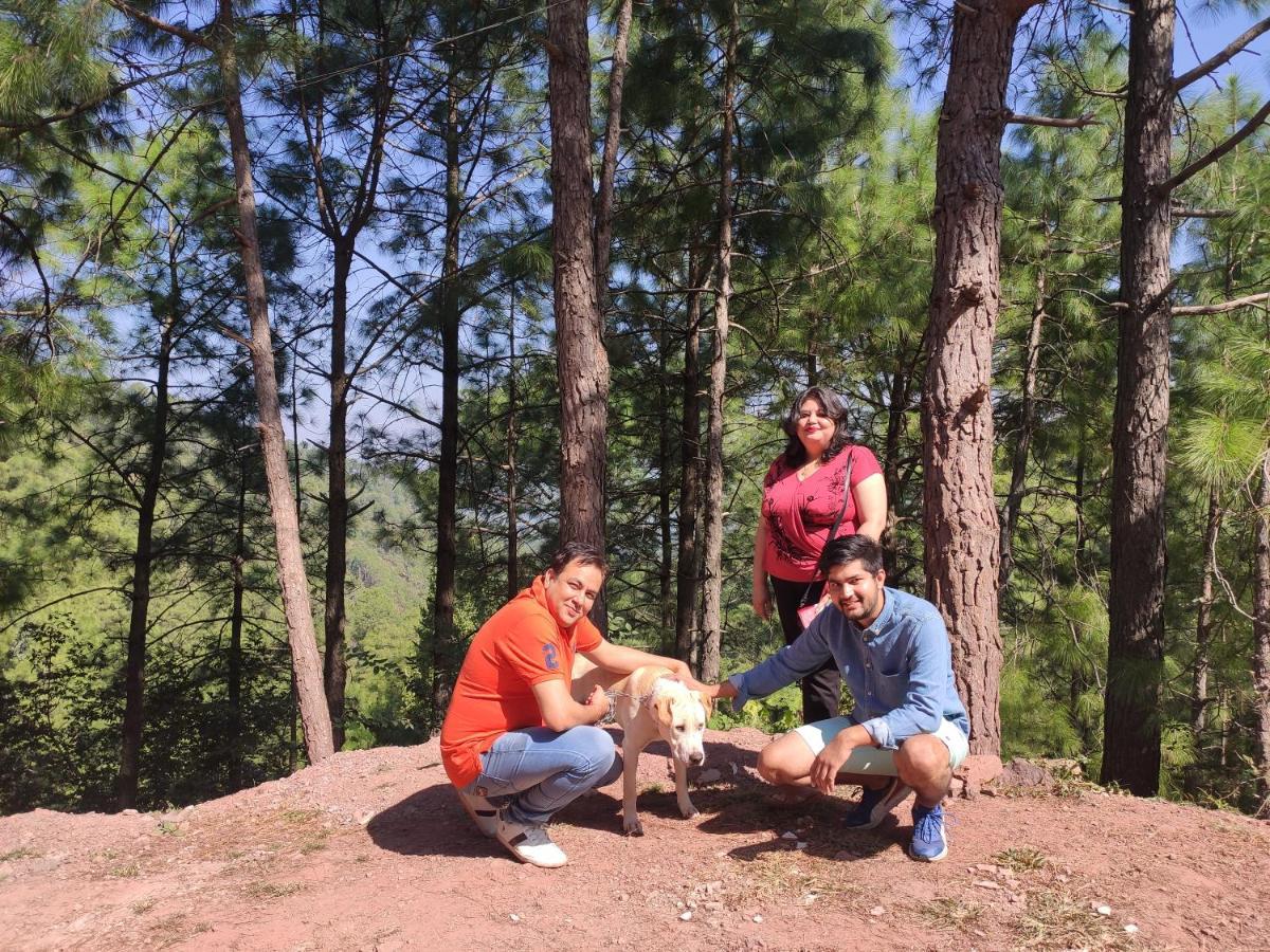 Bed and Breakfast The Asgard Kasauli Exterior foto
