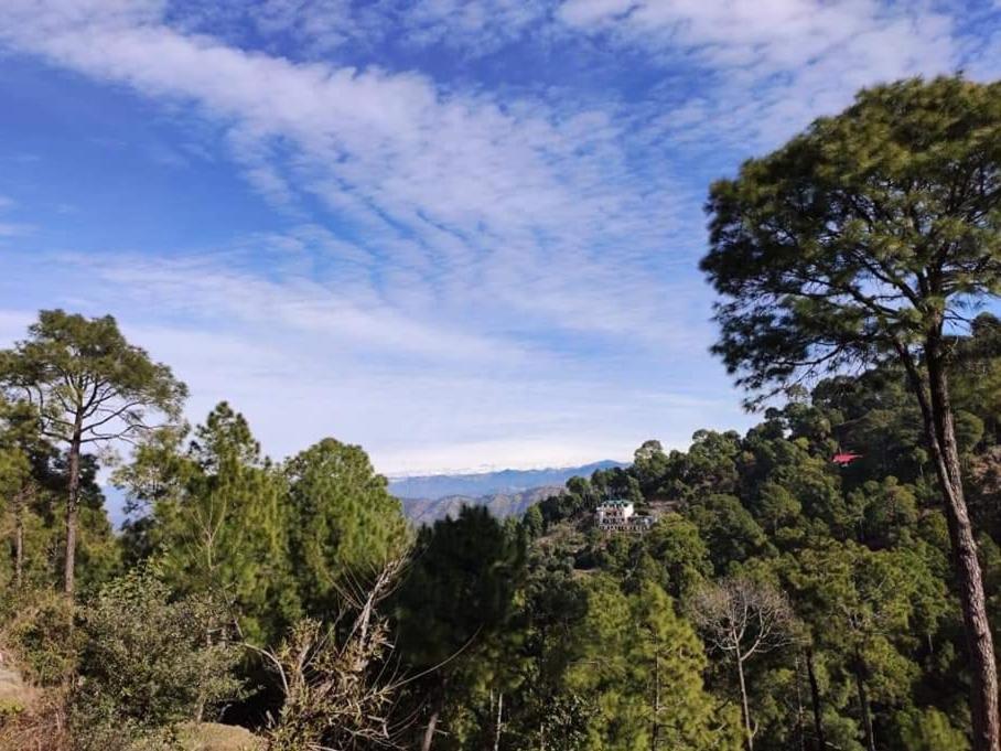 Bed and Breakfast The Asgard Kasauli Exterior foto