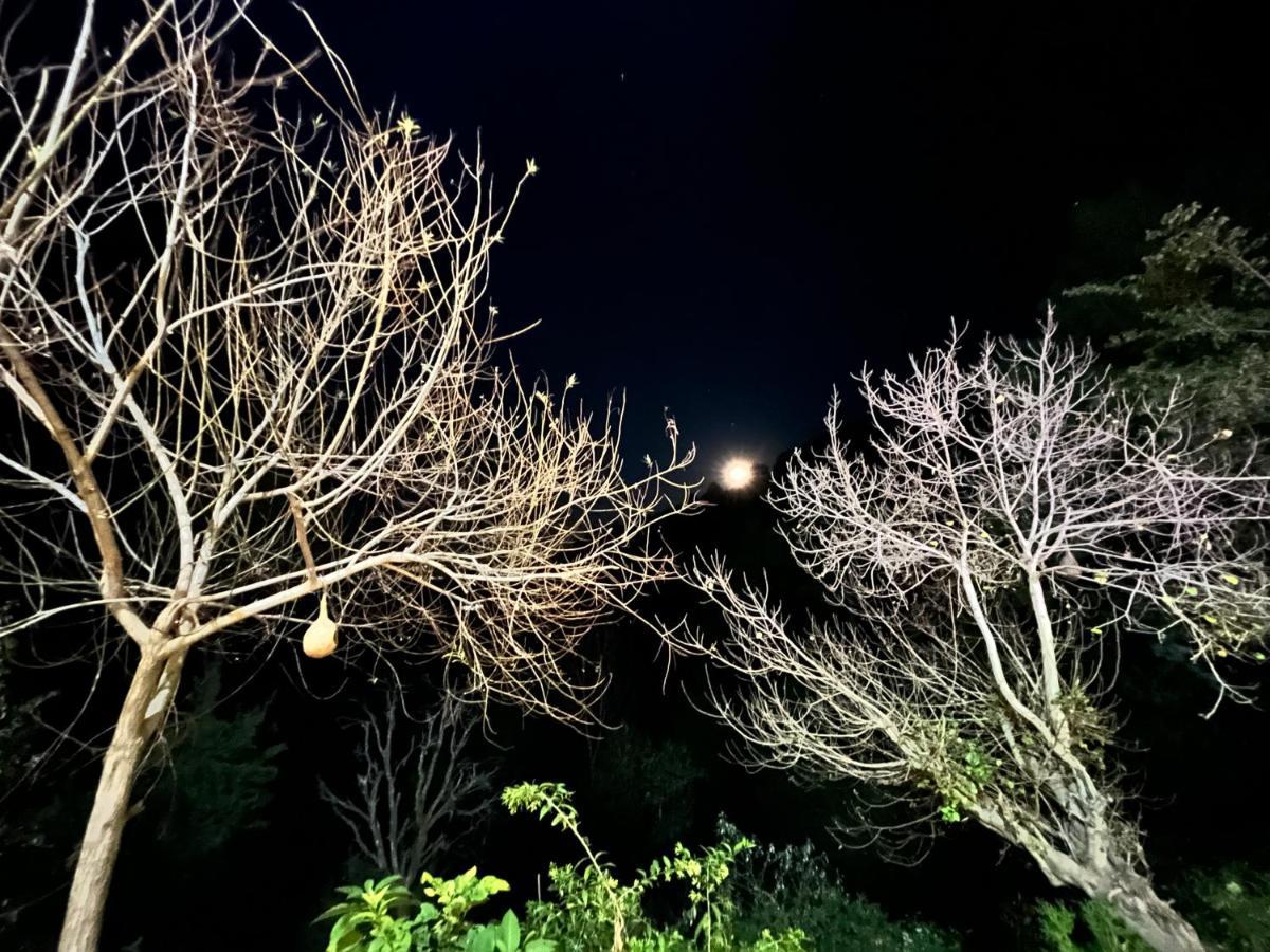 Bed and Breakfast The Asgard Kasauli Exterior foto